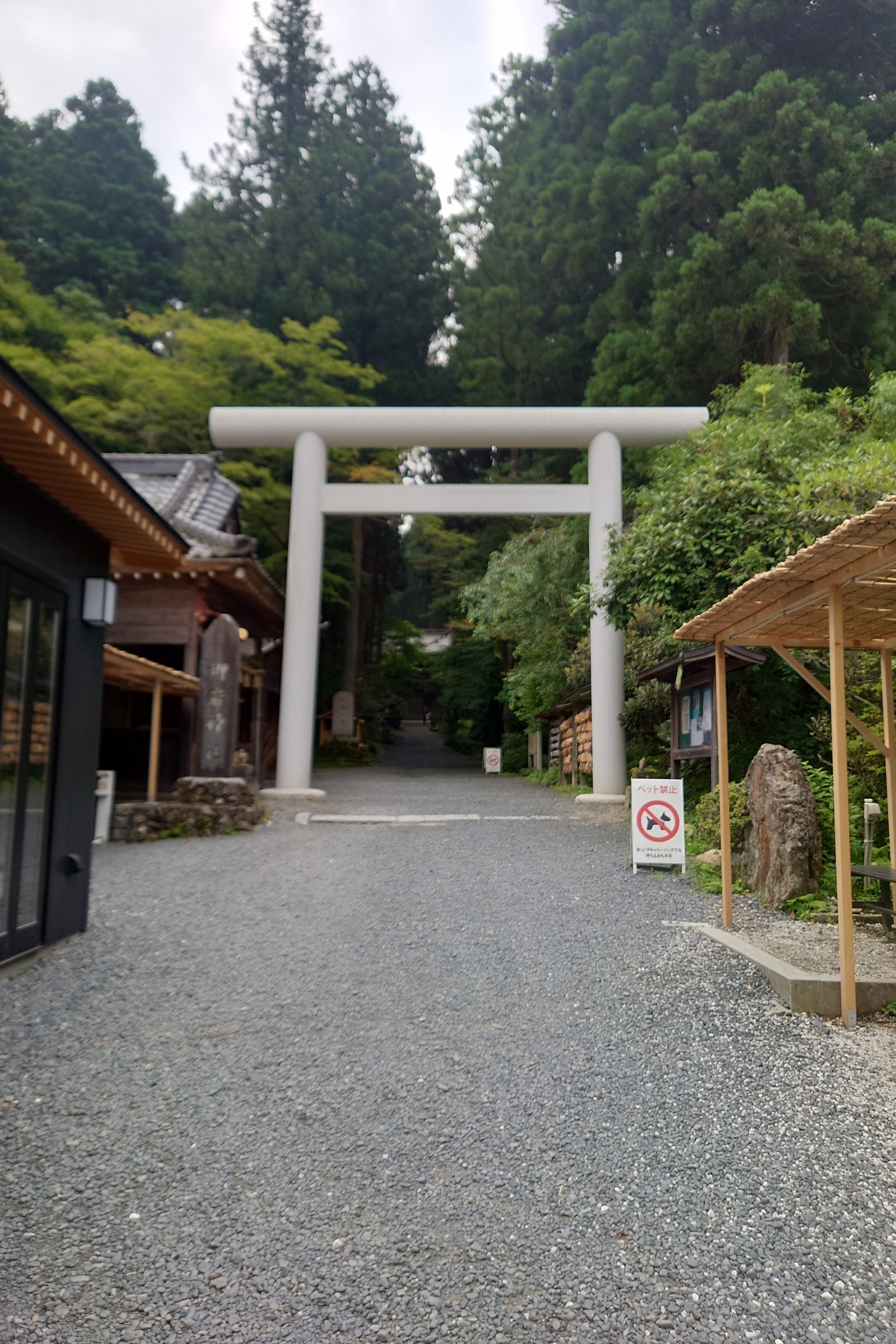 2024.7.18〜20春馬くんの夏の気配探し旅！｜はるよこ