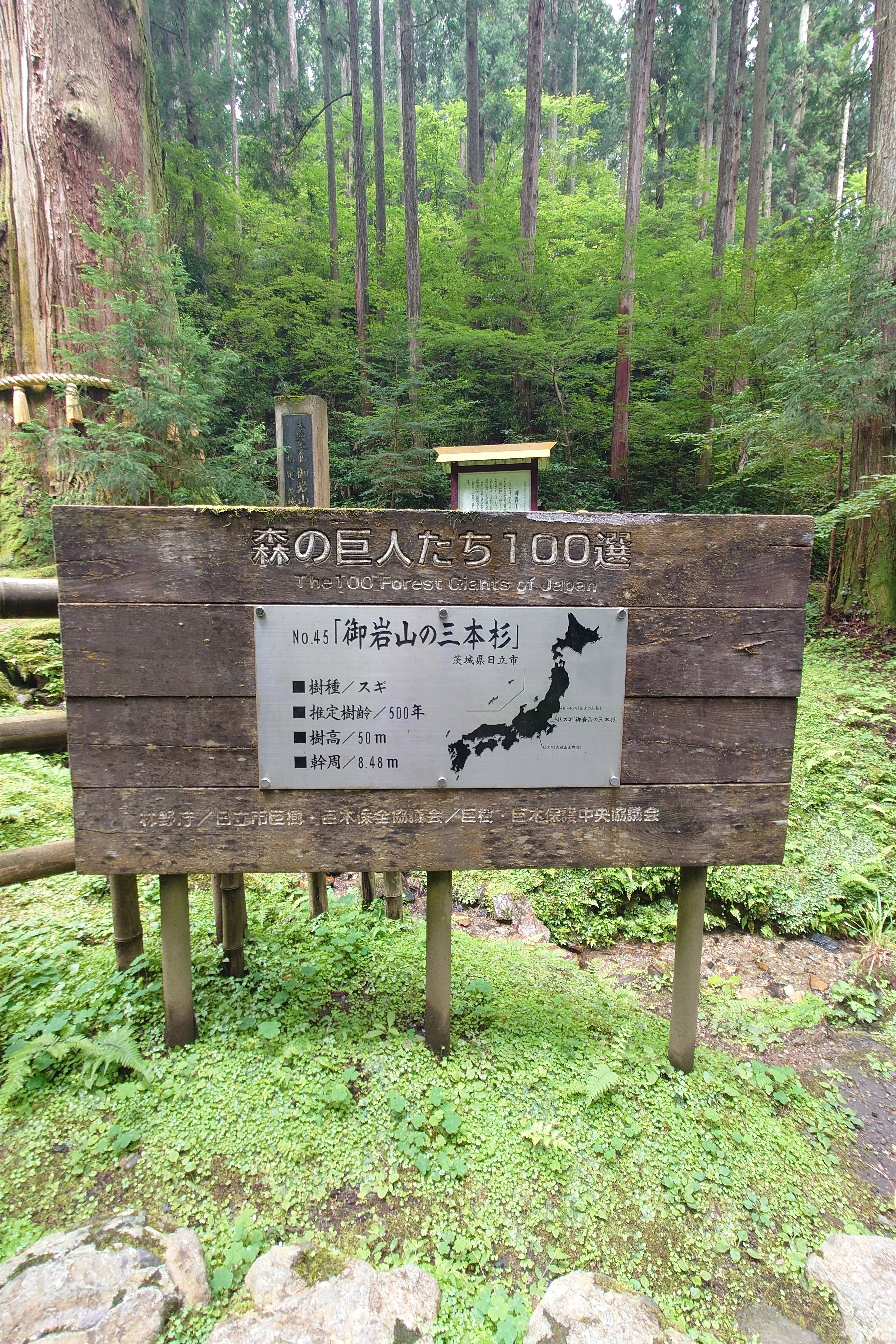 2024.7.18〜20春馬くんの夏の気配探し旅！｜はるよこ