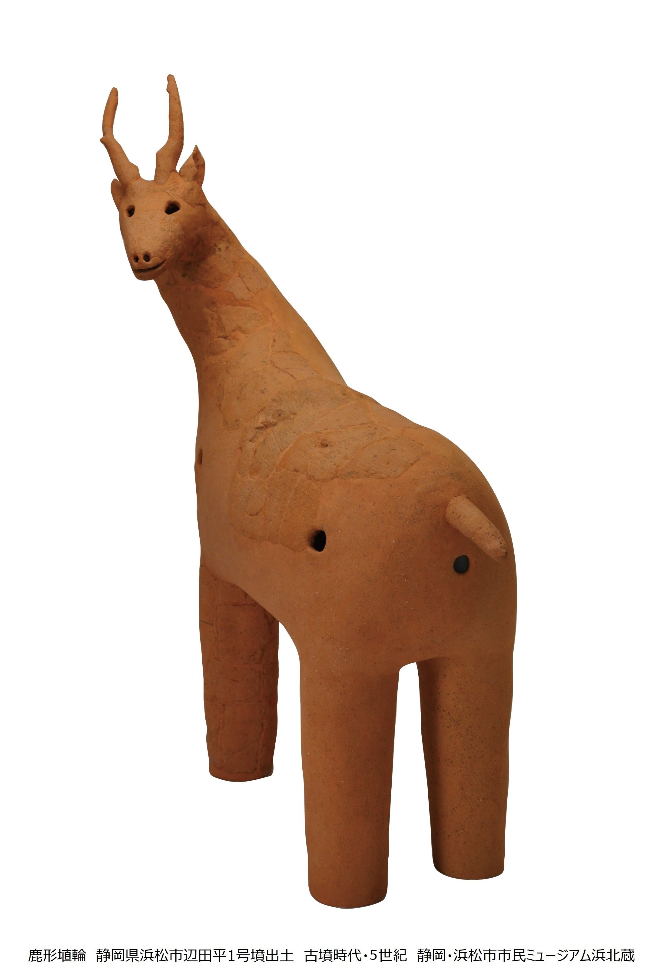 はにわ様用 ColBase