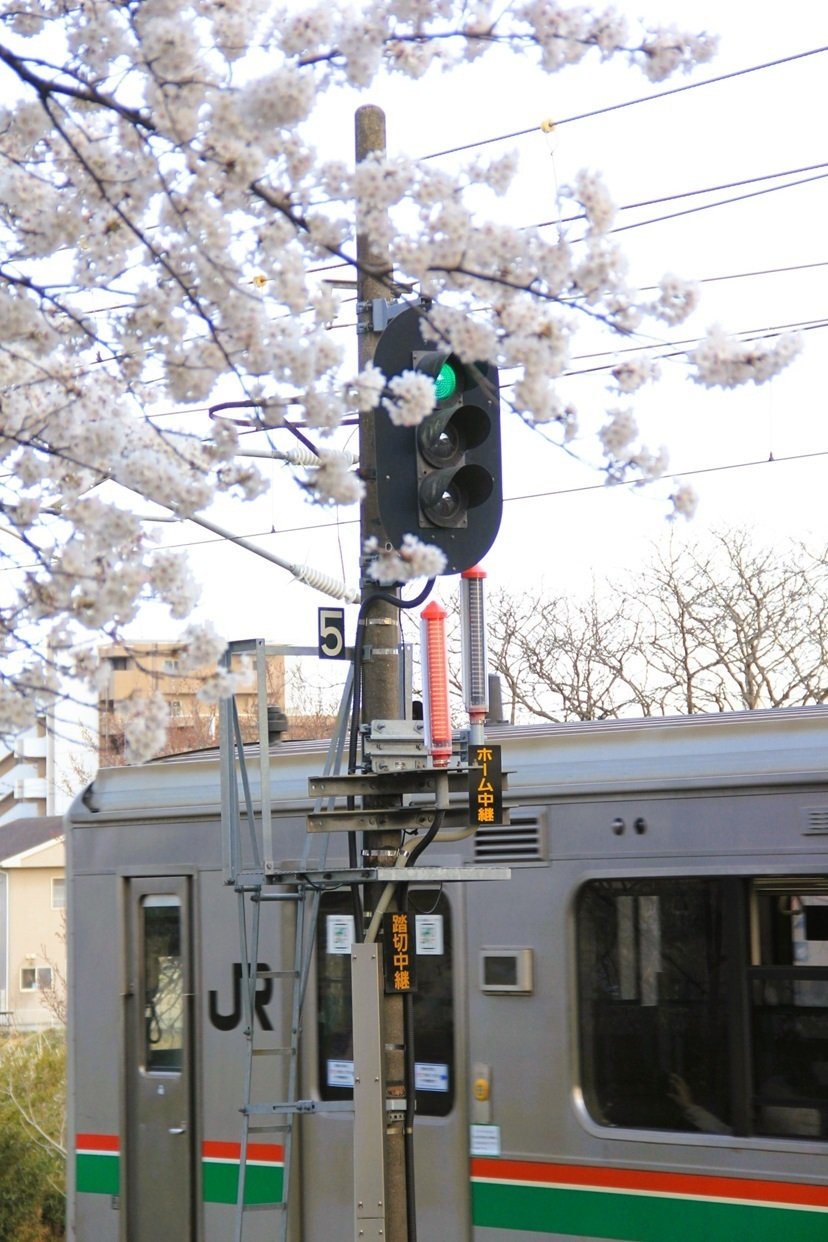 十二】炭鉱の街の面影：三笠鉄道村｜千田正哉