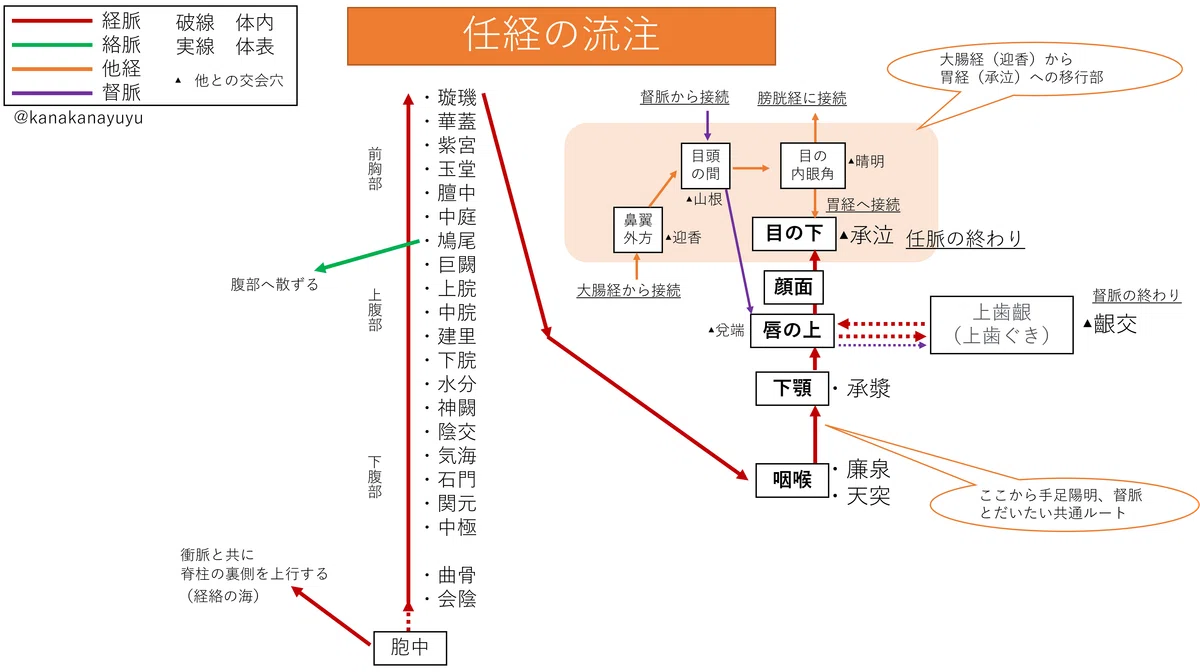 あなたの知らない経絡の世界~任脈の巻|ゆーのすけ@鍼灸家via経絡治療