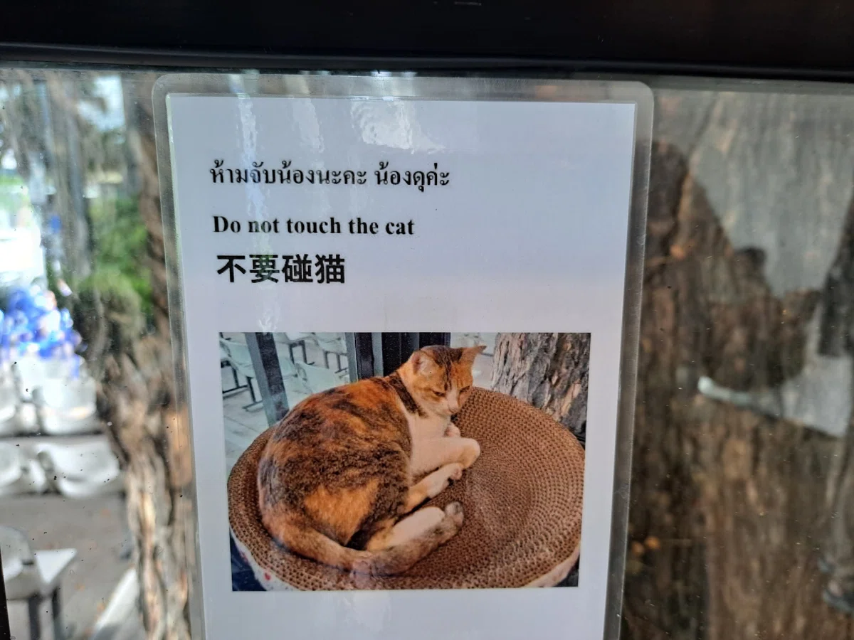 Nap * Chiang Mai Haiku Daily｜古川節子のほっつきノート