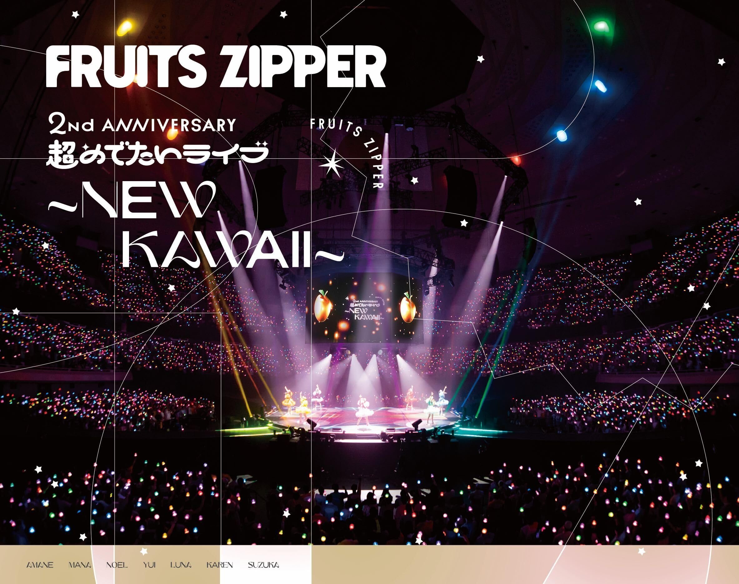 The Birthday/LIVE AT NIPPON BUDOKAN 201… The Birthday – LIVE DVD / Bu-ray「LIVE AT NIPPON BUDOKAN