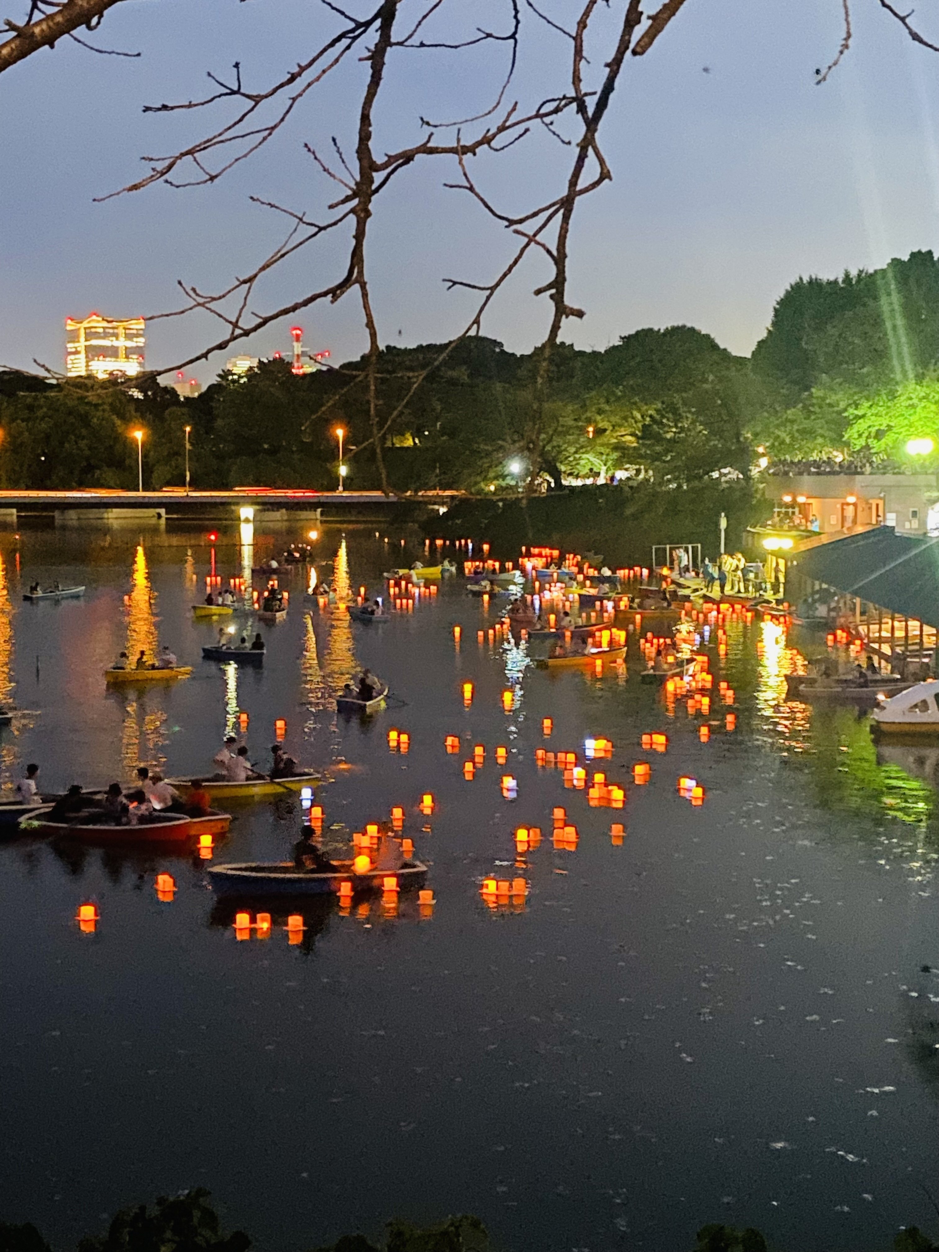 2000個もの灯籠が浮かぶ皇居 千鳥ヶ淵の灯籠流し｜Yuriko【習慣化コーチ】