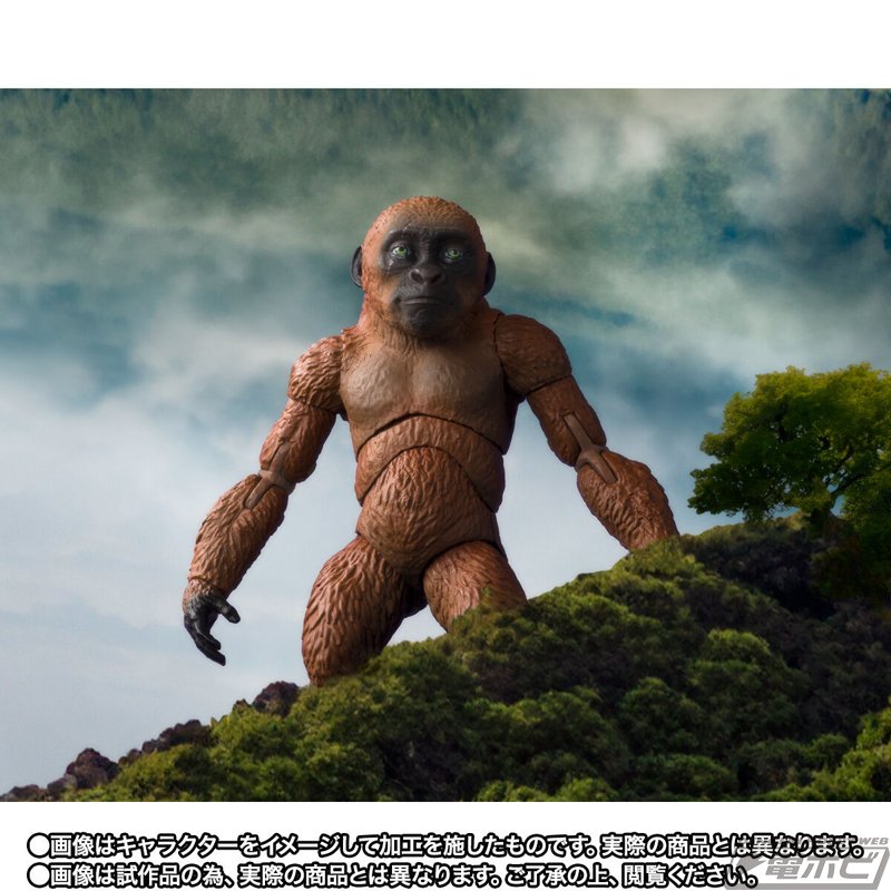 S.H.モンスターアーツ ゴジラ(2024) コング(2021)セット販売 特撮