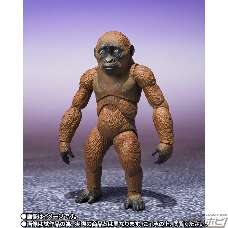 ゴジラ×コング 新たなる帝国』SUKOとMOTHRA（2024）がセットになって