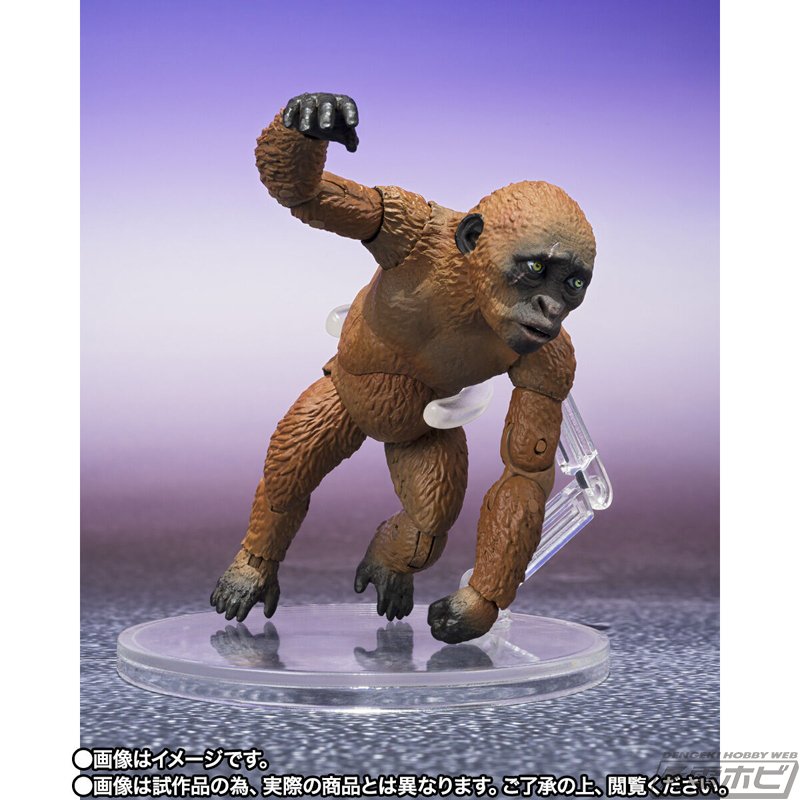 ゴジラ × コング 新たなる帝国 フィギュア モスラ & ジア Mothra S.H.モンスターアーツ スーコ＆モスラ（ゴジラ×コング：新たなる