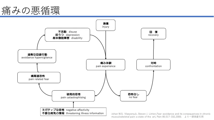 恐怖回避モデルから学ぶ痛みの悪循環 〜科学的根拠に基づく痛みの基礎〜|療法士活性化委員会