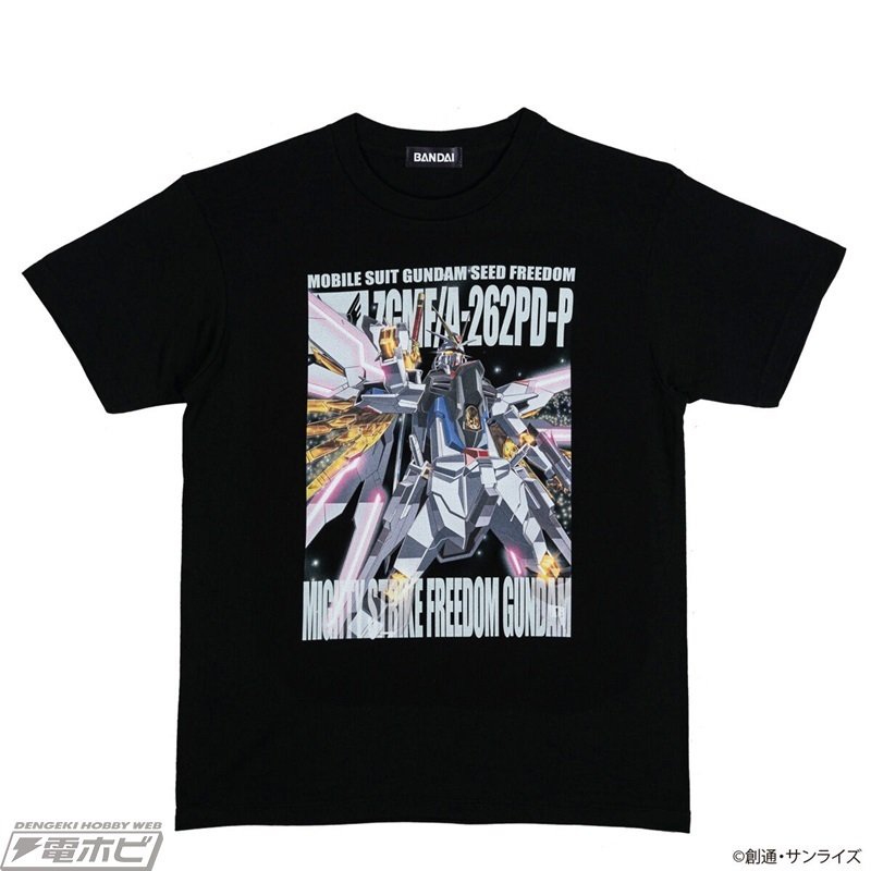 ガンダムウォー ストライクフリーダムガンダム 10thレアの絵違い　2枚セット ガンダムウォー ストライクフリーダムガンダム 10thレアの絵違い