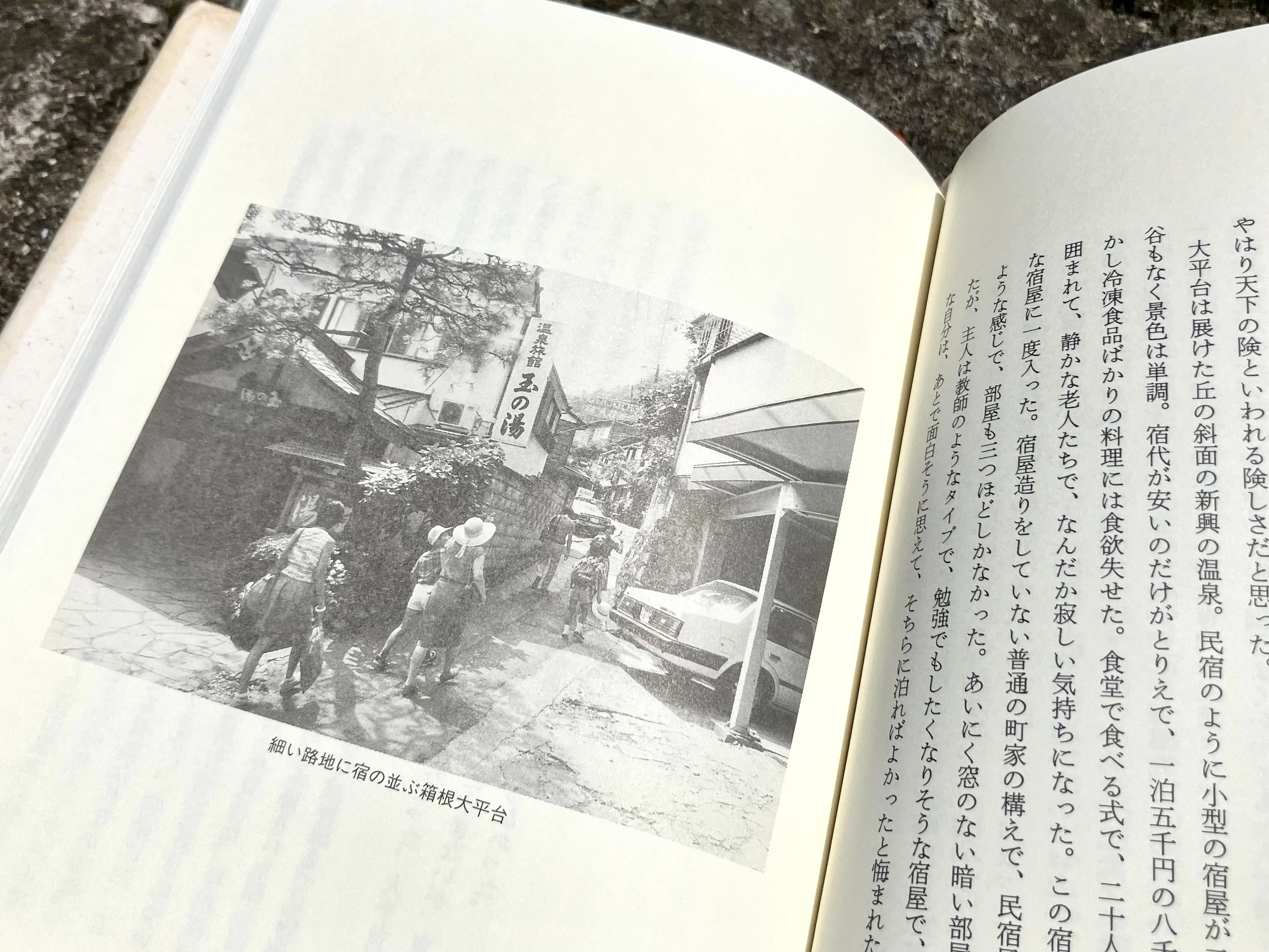 わたしのつれづれ読書録』 by 秋光つぐみ ｜ #39 『貧困旅行記』 つげ