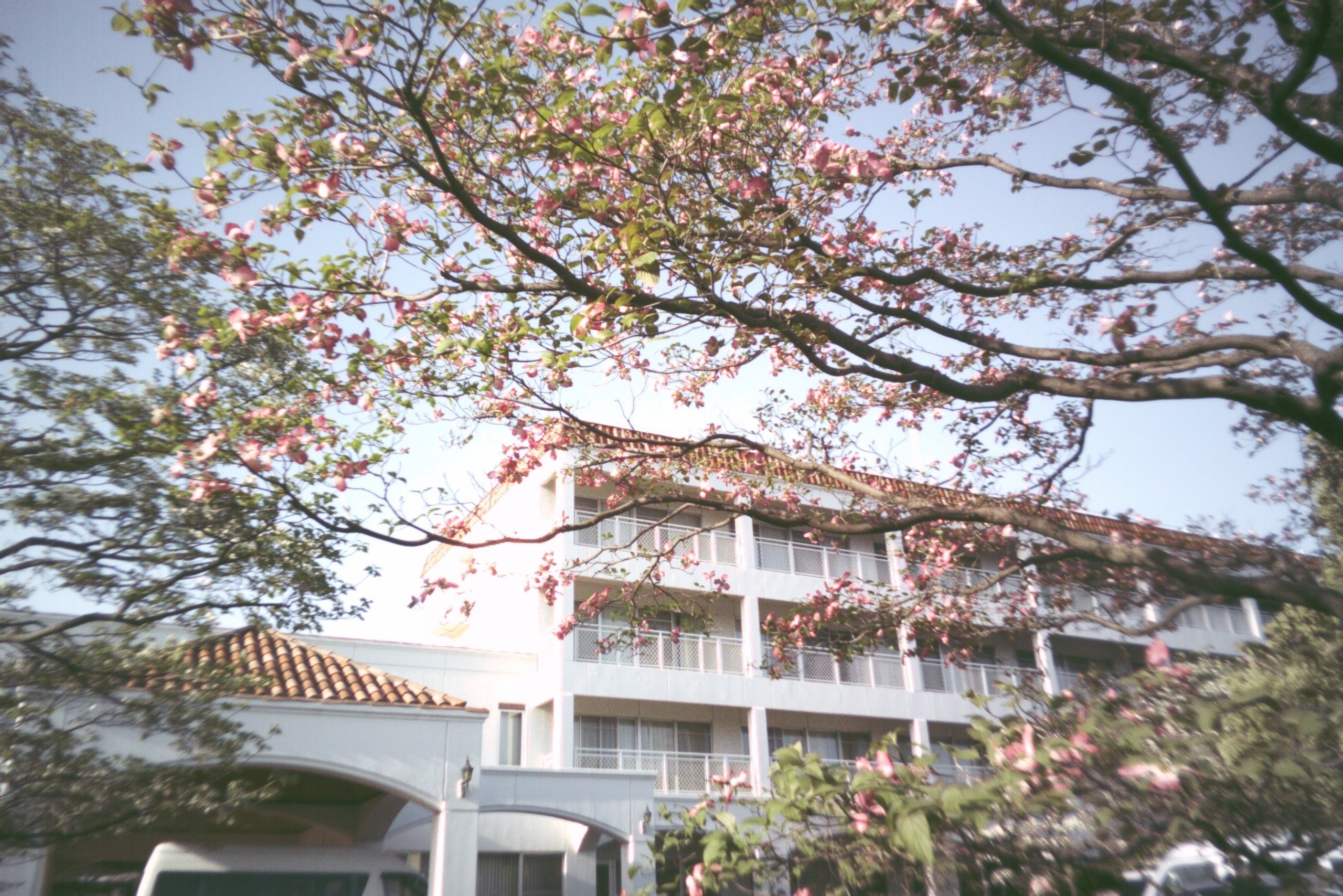 Flashback ONE35というカメラ｜みん