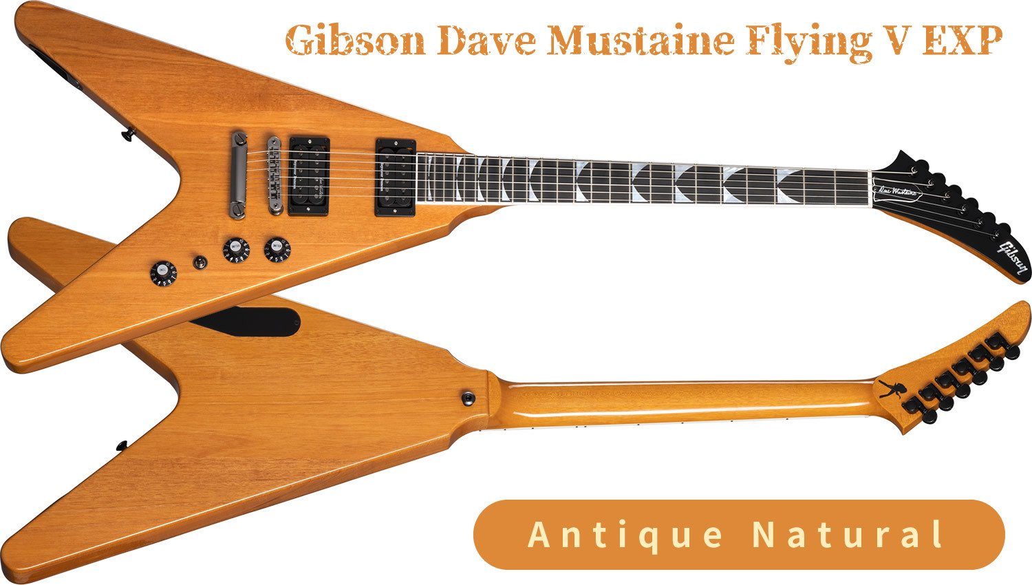王者ギブソンによるデイヴ・ムステイン・フライングV！｜Sparkplug.tokyo