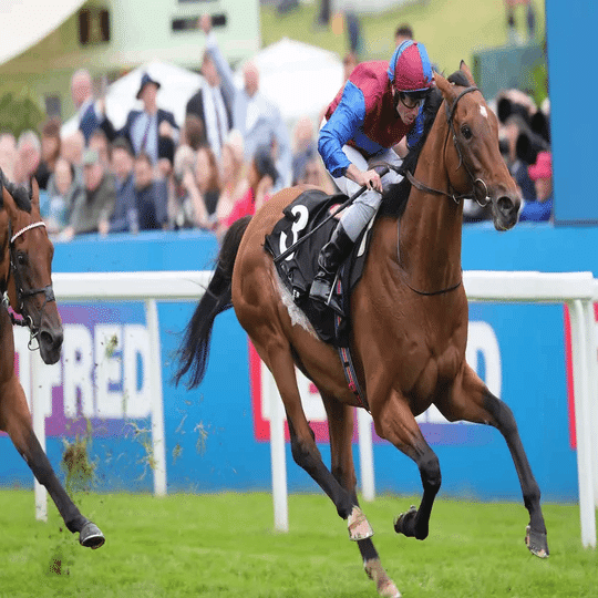 キングジョージⅥ世&クイーンエリザベスS 2024 出走馬解説・展望｜NToz