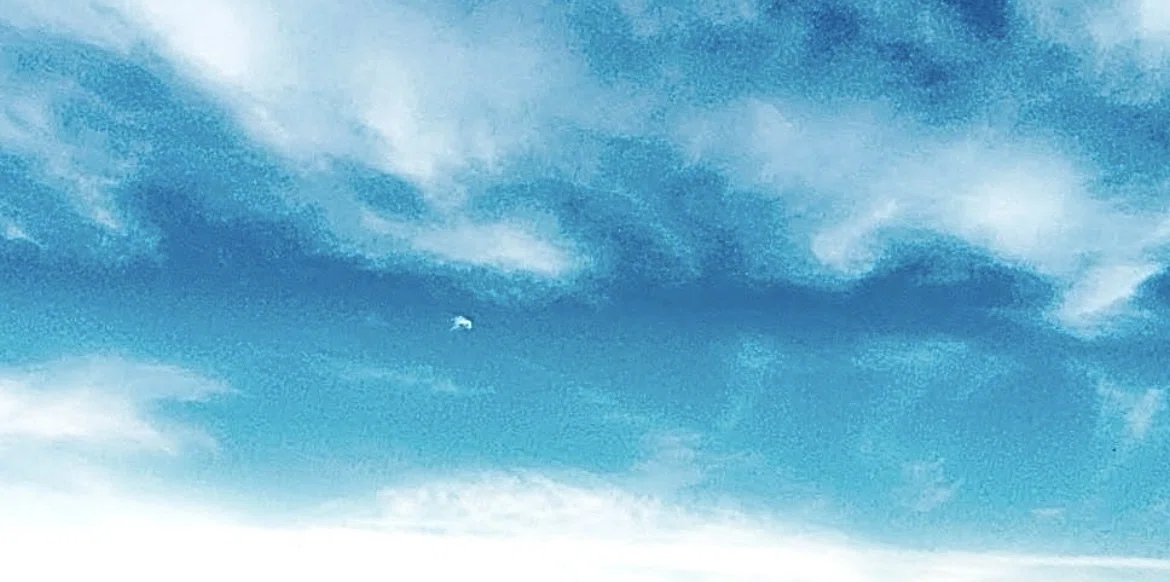 夏雲の行方