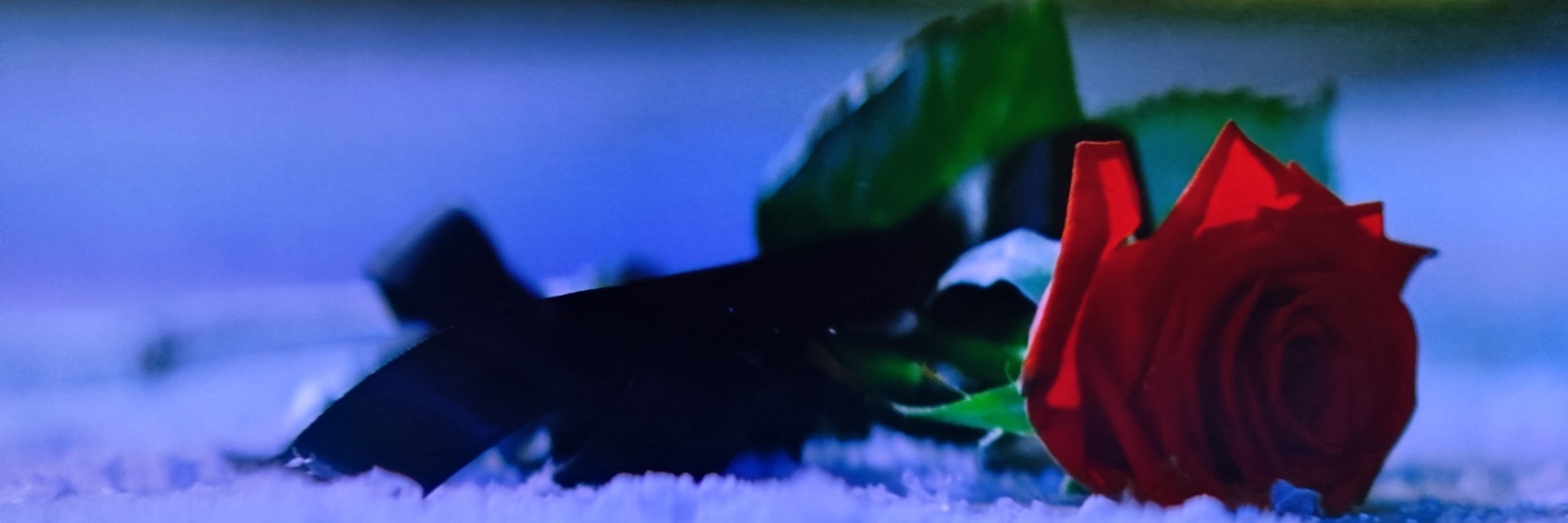 ジェリーファントム④映画版オペラ座の怪人感想｜shi2215