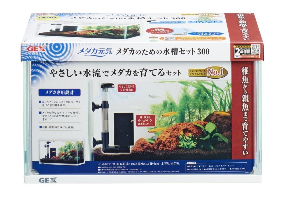 ベタ、メダカ飼育に 我が家のベタ飼育環境ー親魚編ー｜橘ノア