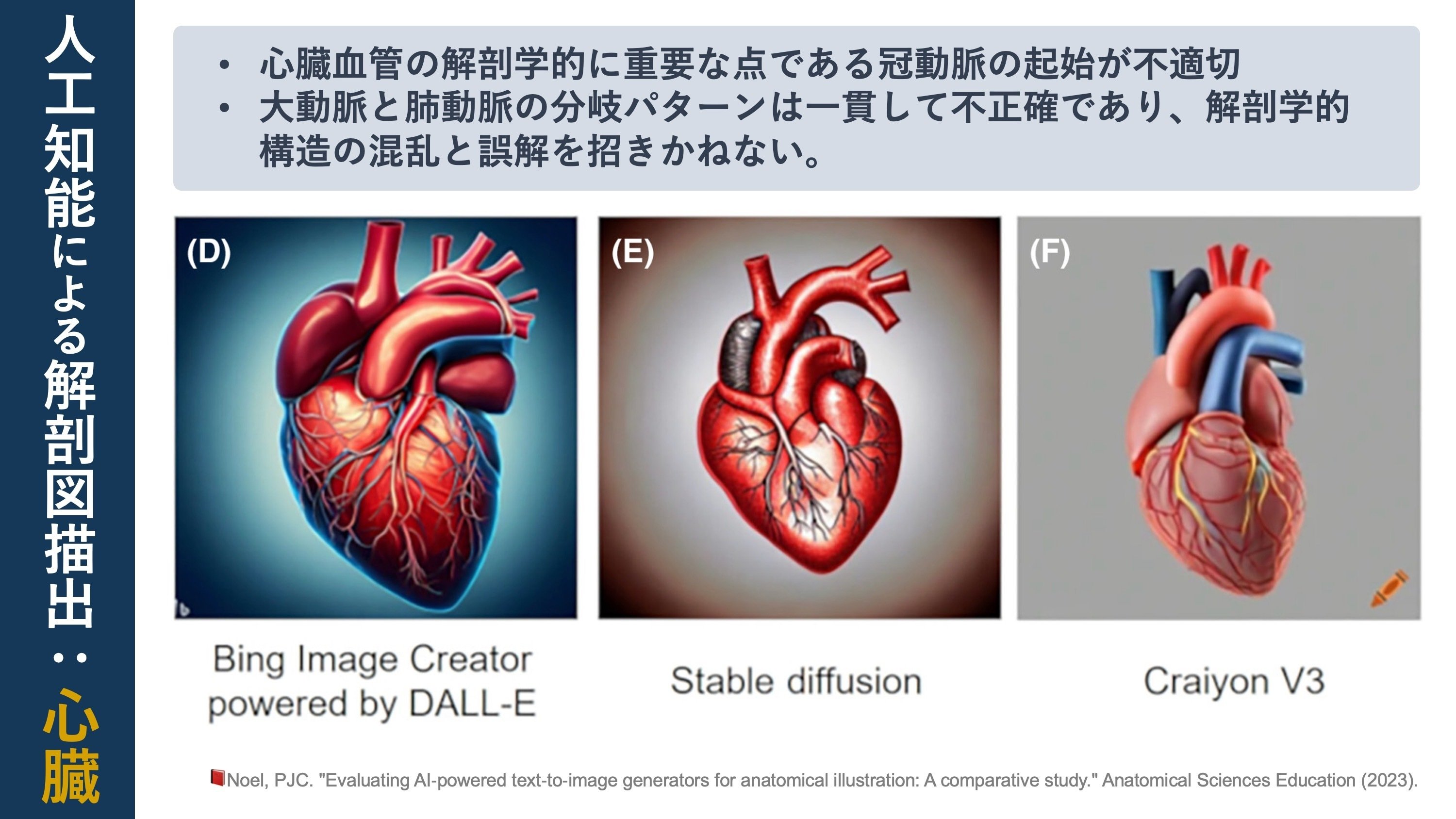 人工知能による解剖図描出｜Super Human | 理学療法士／保健学