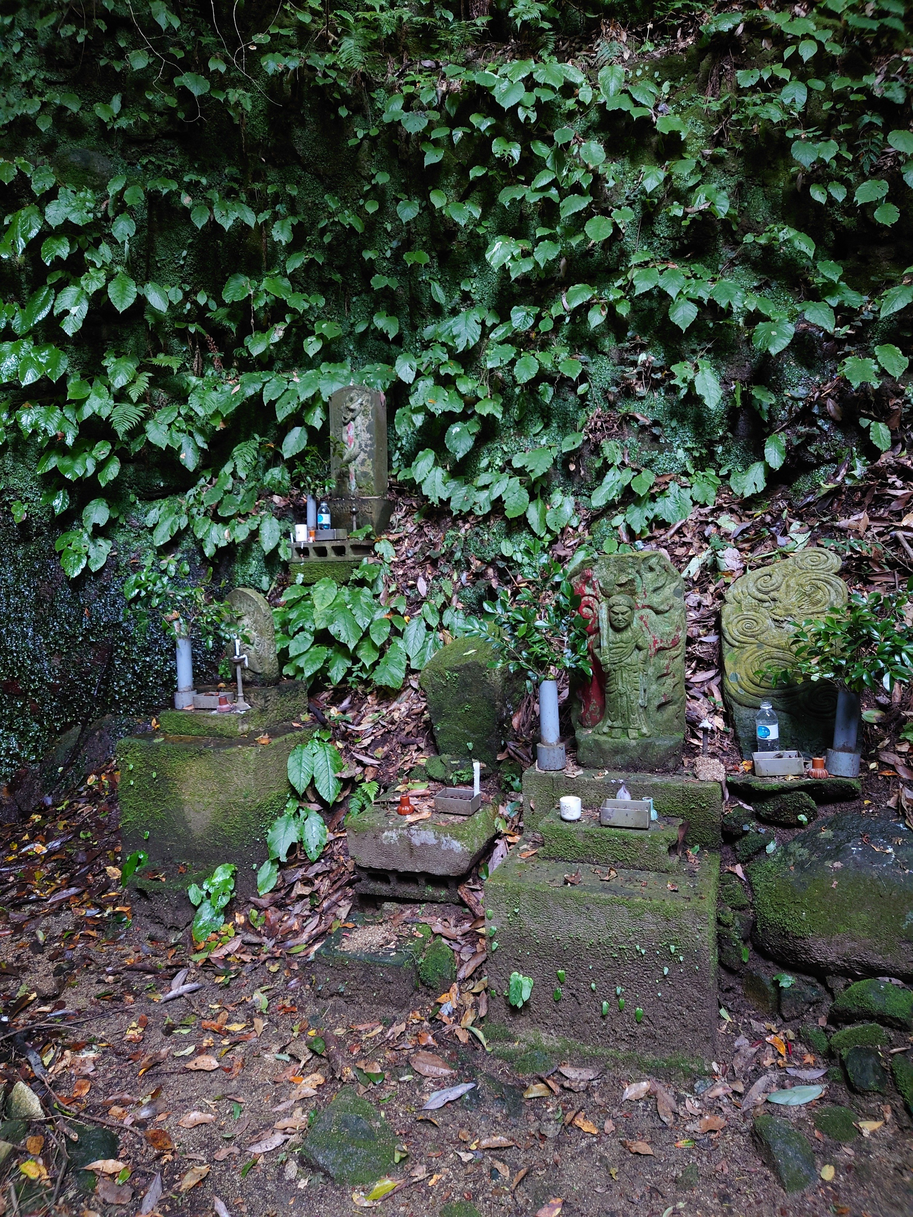 心霊スポット調査 浅野公園・浅野瀧不動明王編｜雨雲模様＠怪談師見習い