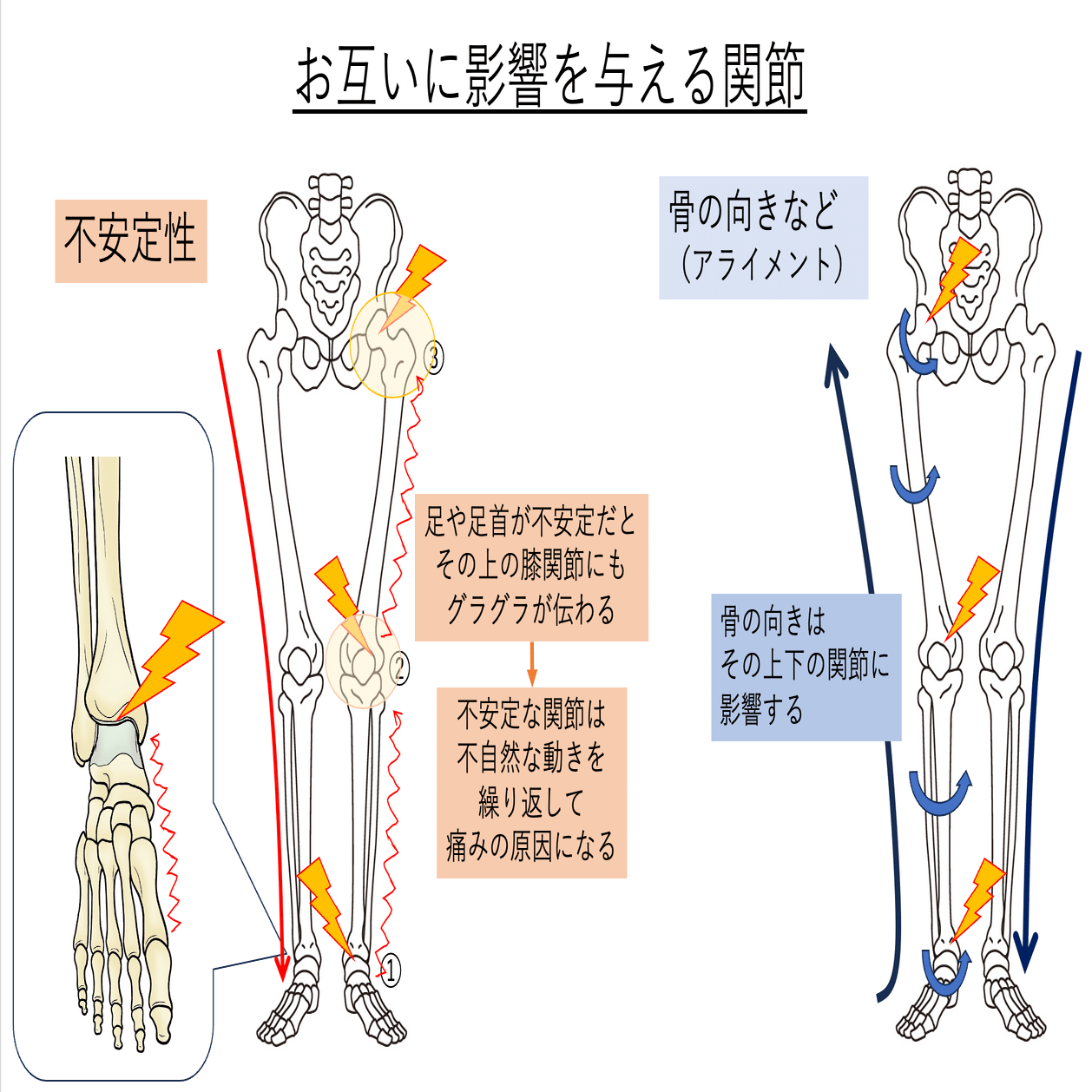 足の運動が膝にも効く