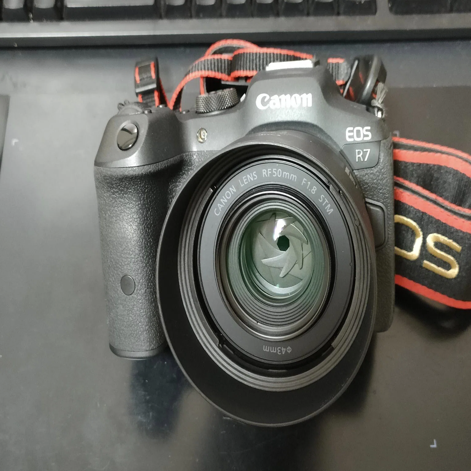 予告 Canon RF 50mm F1.8 STM 特集始めます｜matsunaga_kaz