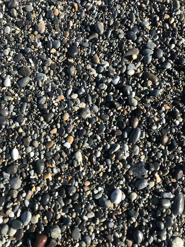 新潟の海で石拾い、黒点の石 ｜思い出その百二十三｜｜石の人