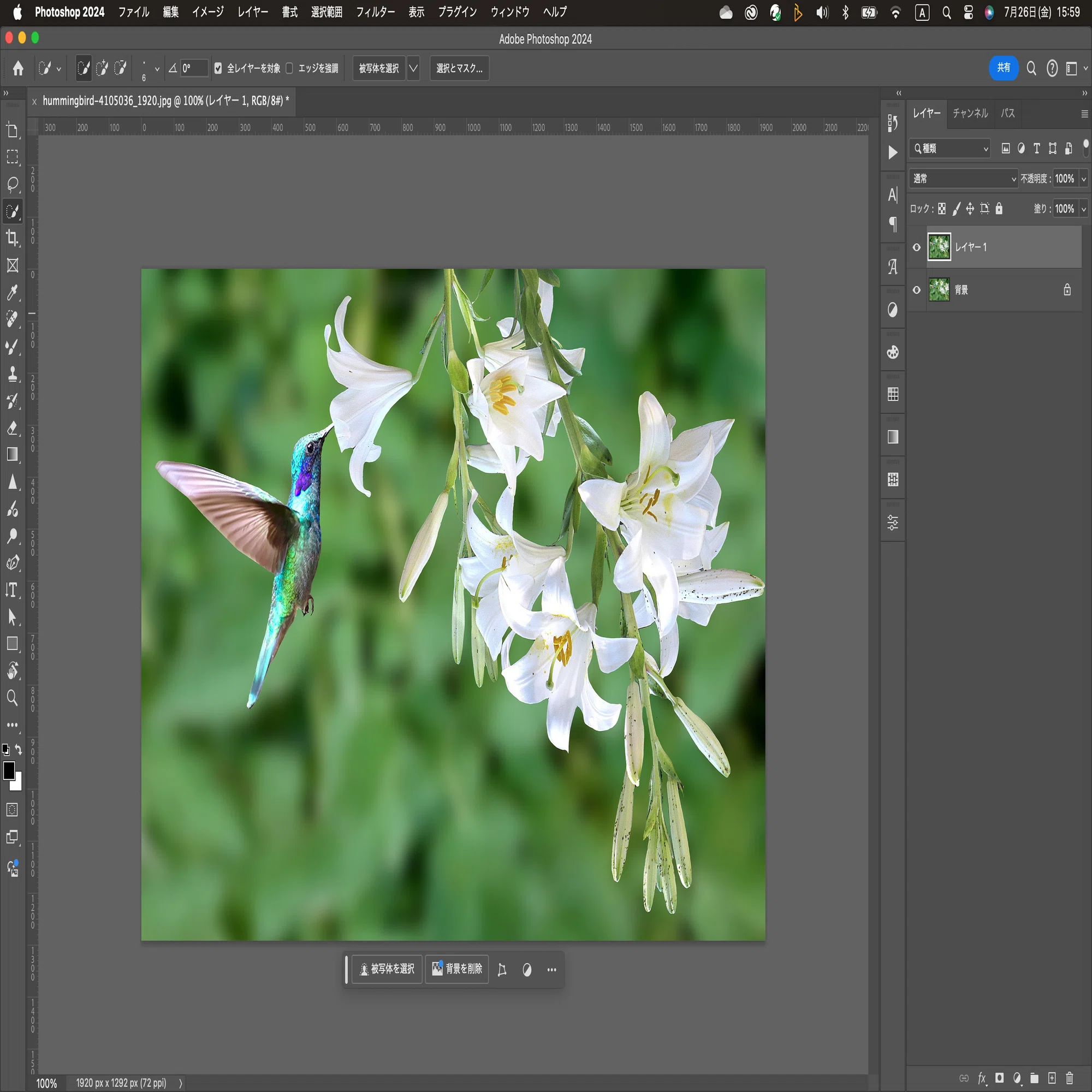 Photoshop Tutorial No.192 画像のアップスケールについて｜mitchy
