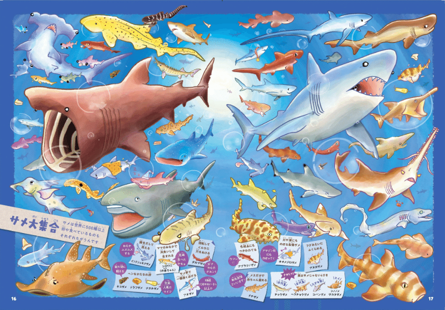 異色の3人が大集合！ みいるか×かわちゃん×美ら海サメ博士が沖縄で