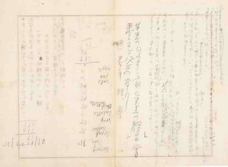 宮沢賢治と宇宙（75） 銀河鉄道の旅路、再訪―《「双子の星」＝「こと