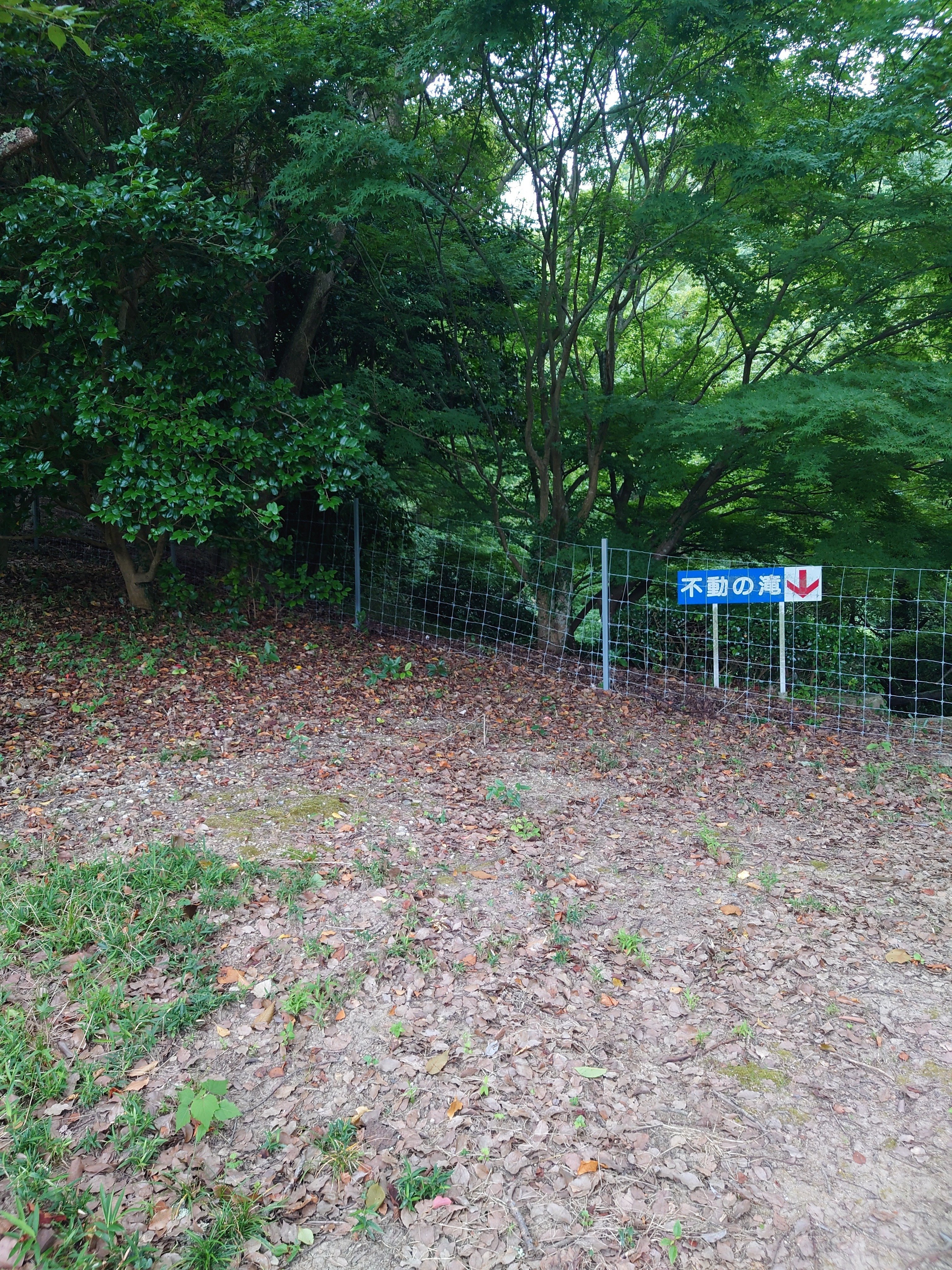 心霊スポット調査 浅野公園・浅野瀧不動明王編｜雨雲模様＠怪談師見習い
