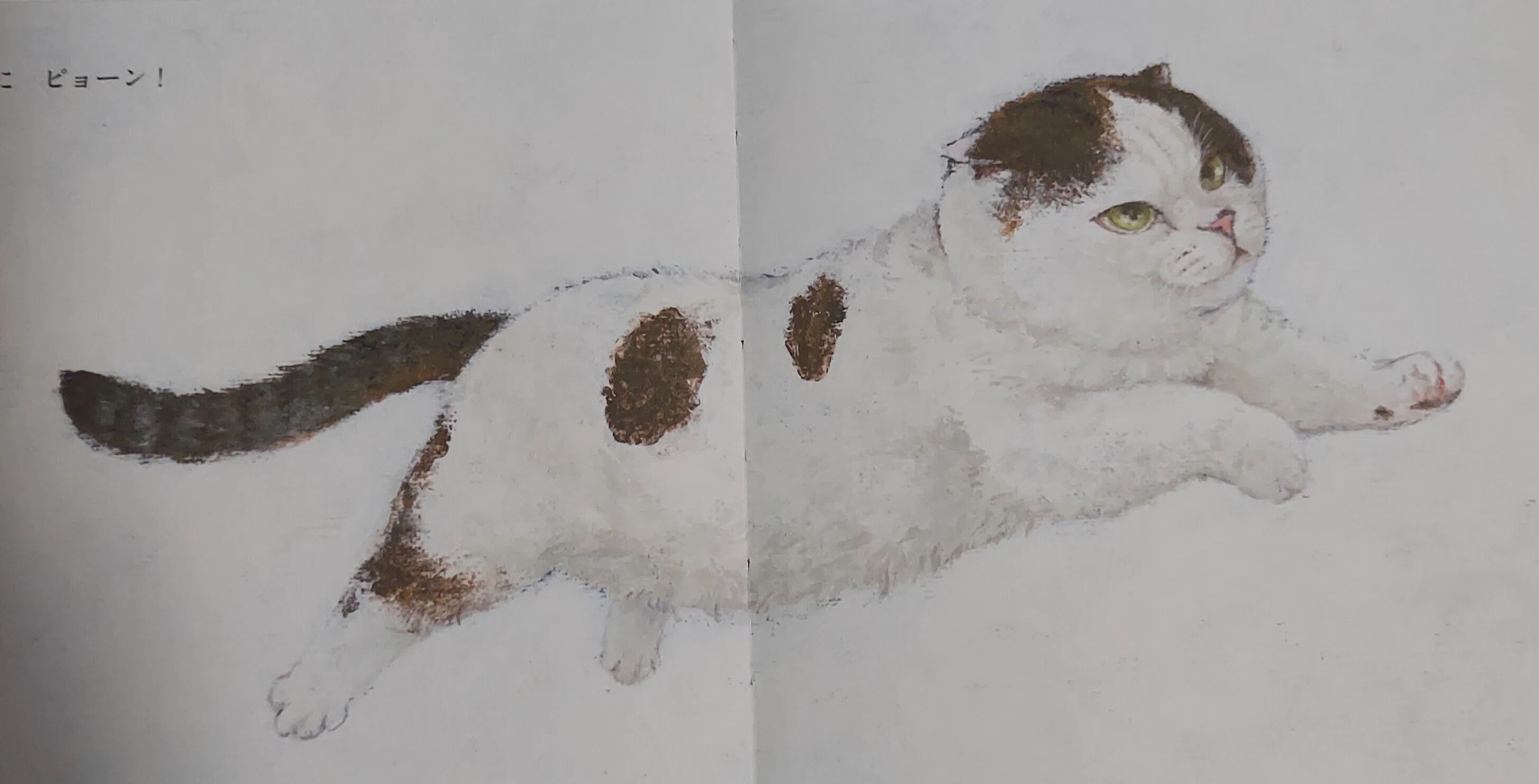 雑記R6】7／26 町田尚子絵本原画展「隙あらば猫」｜虹色のかめと花