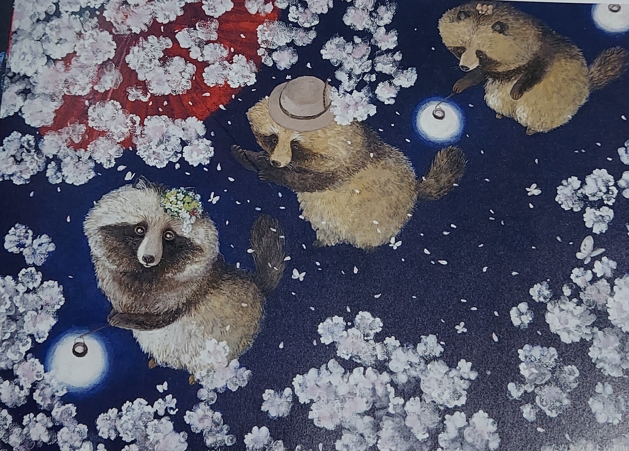 雑記R6】7／26 町田尚子絵本原画展「隙あらば猫」｜虹色のかめと花