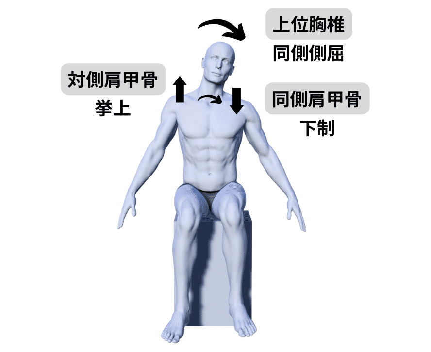 完全版】関節の構成運動と運動連鎖の臨床応用【サブスク】|理学 完全版】関節の構成運動と運動連鎖の臨床応用【サブスク】|理学