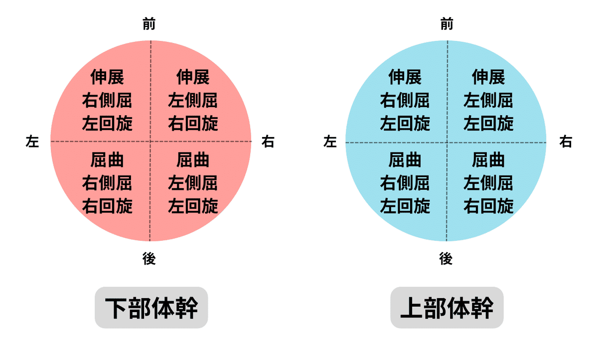 四肢と体幹の運動連鎖に基づく評価と治療の展開