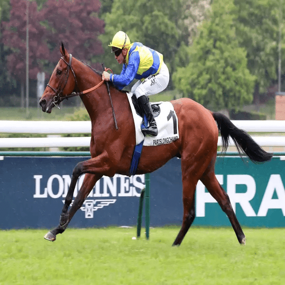 キングジョージⅥ世&クイーンエリザベスS 2024 出走馬解説・展望｜NToz