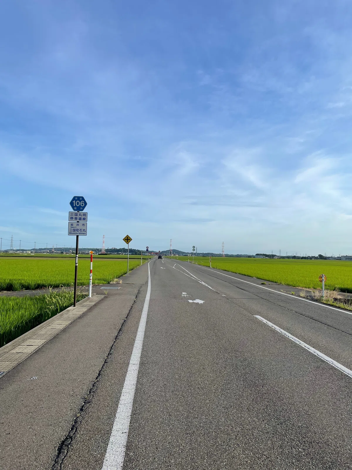 泳ぎに行った｜サラダ放る
