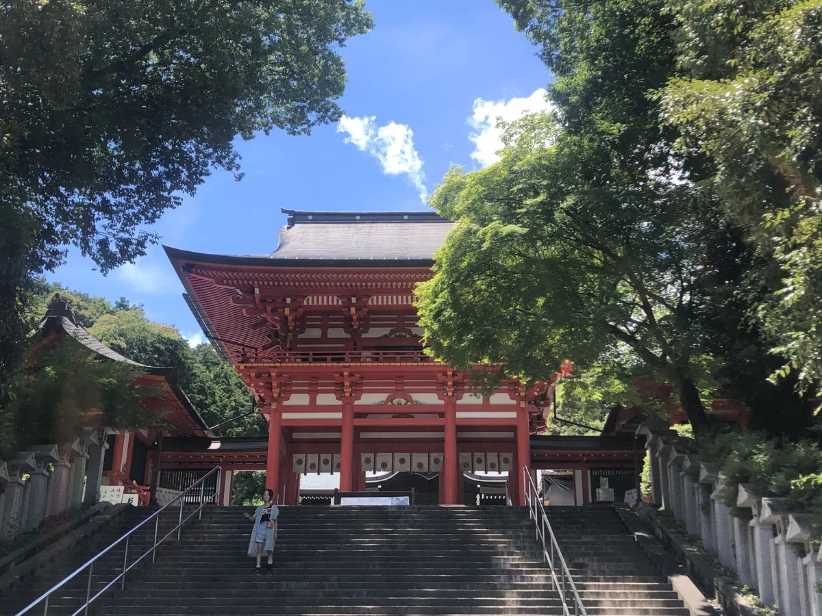 画像