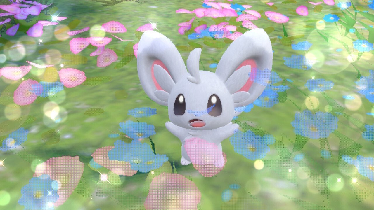 やるきゼロのチラーミィの、やるきを見せつける｜すみの