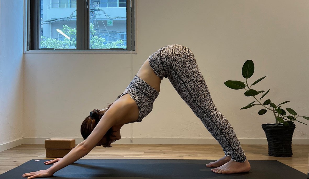 アサナのトリセツ第2回：下向きの犬のポーズ【基本編】｜SVAHA YOGA