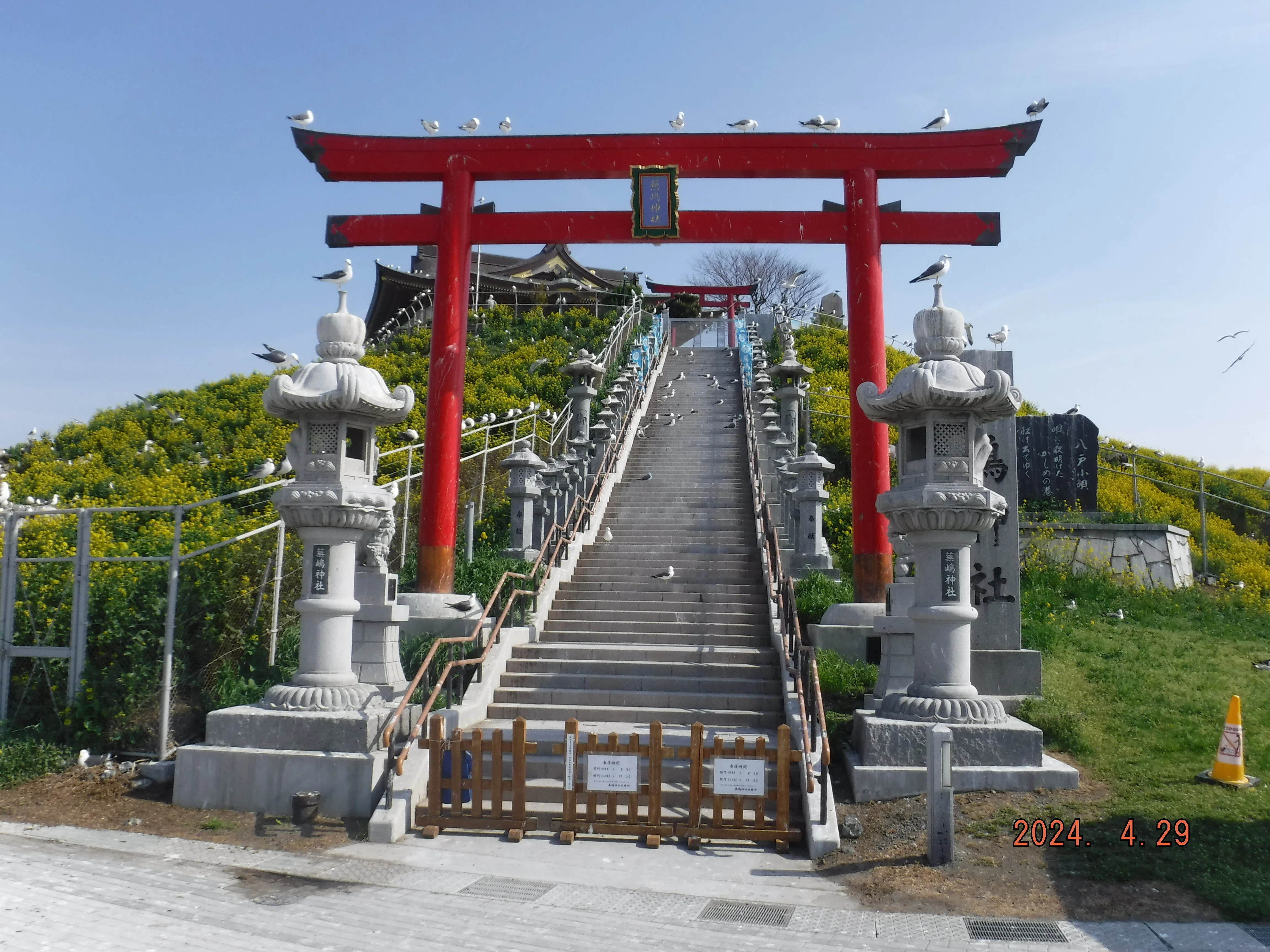 八戸蕪島 ポケふた通算76枚目getだぜ｜toyotaboxy