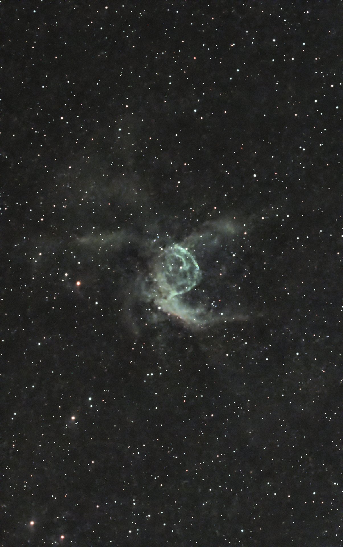 SeestarS50]Thor's Helmet / トールの兜星雲｜ゴンカネ