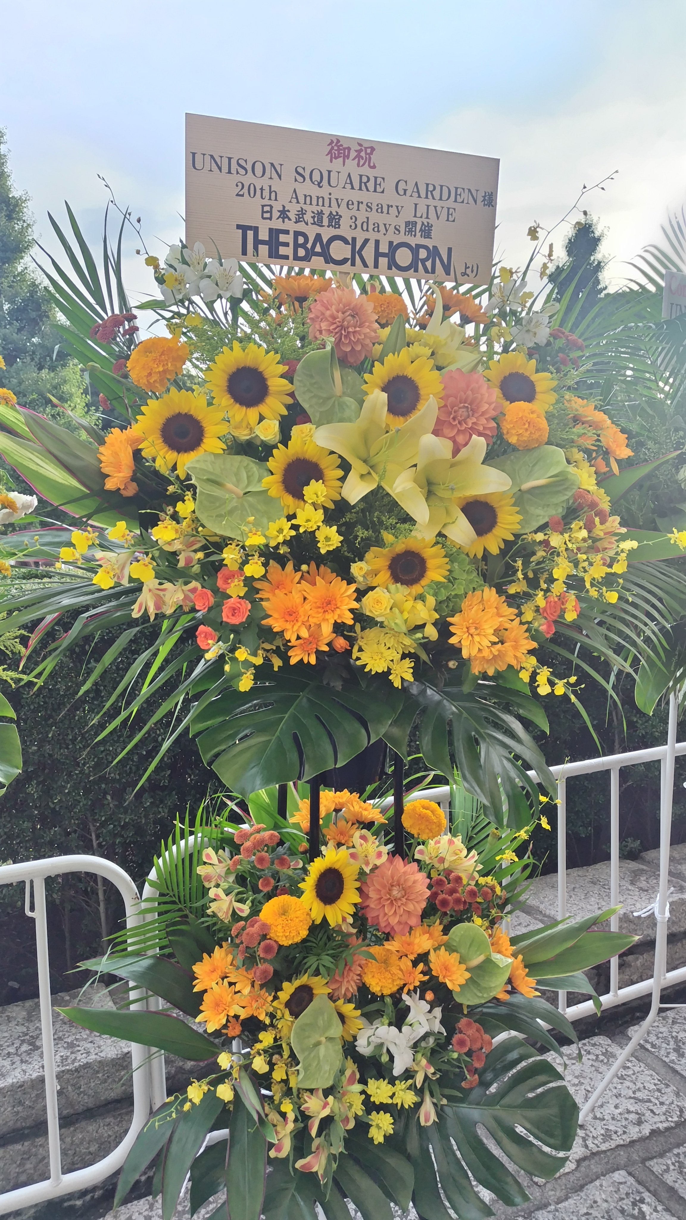 純粋さを隠さなかったロックバンド全身全霊の20周年武道館｜ミ～ア