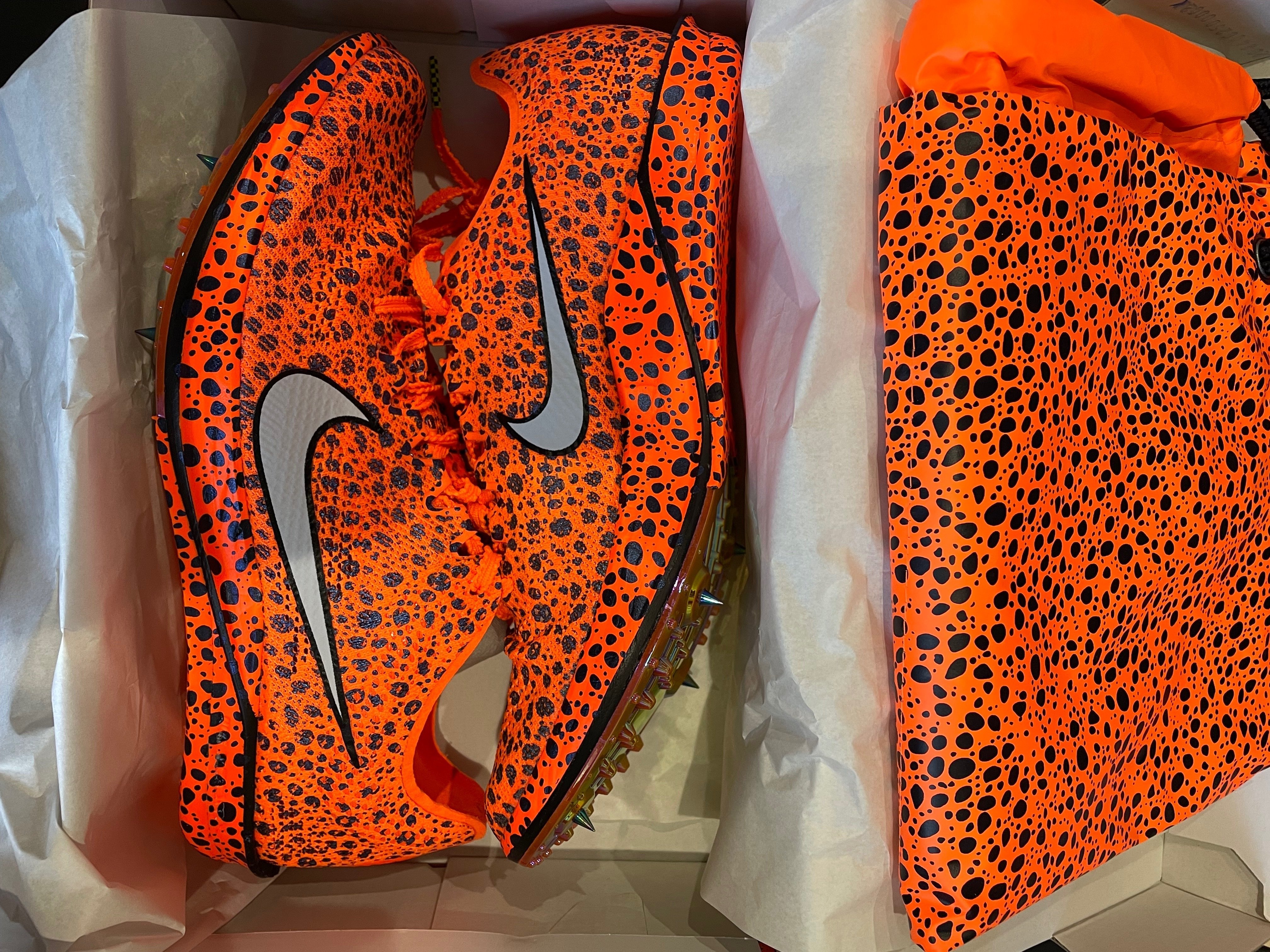 Nike Dragonfly 2 Elite first look｜Running Dr.(ランニング