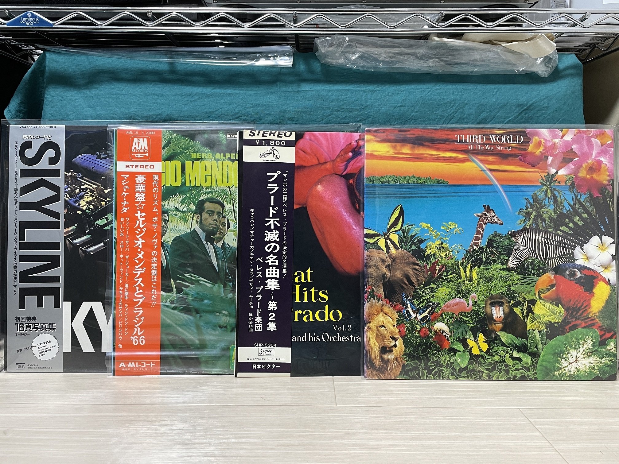 レコード生活中級編 その3 ～'24上半期のdigまとめ編～｜なおき