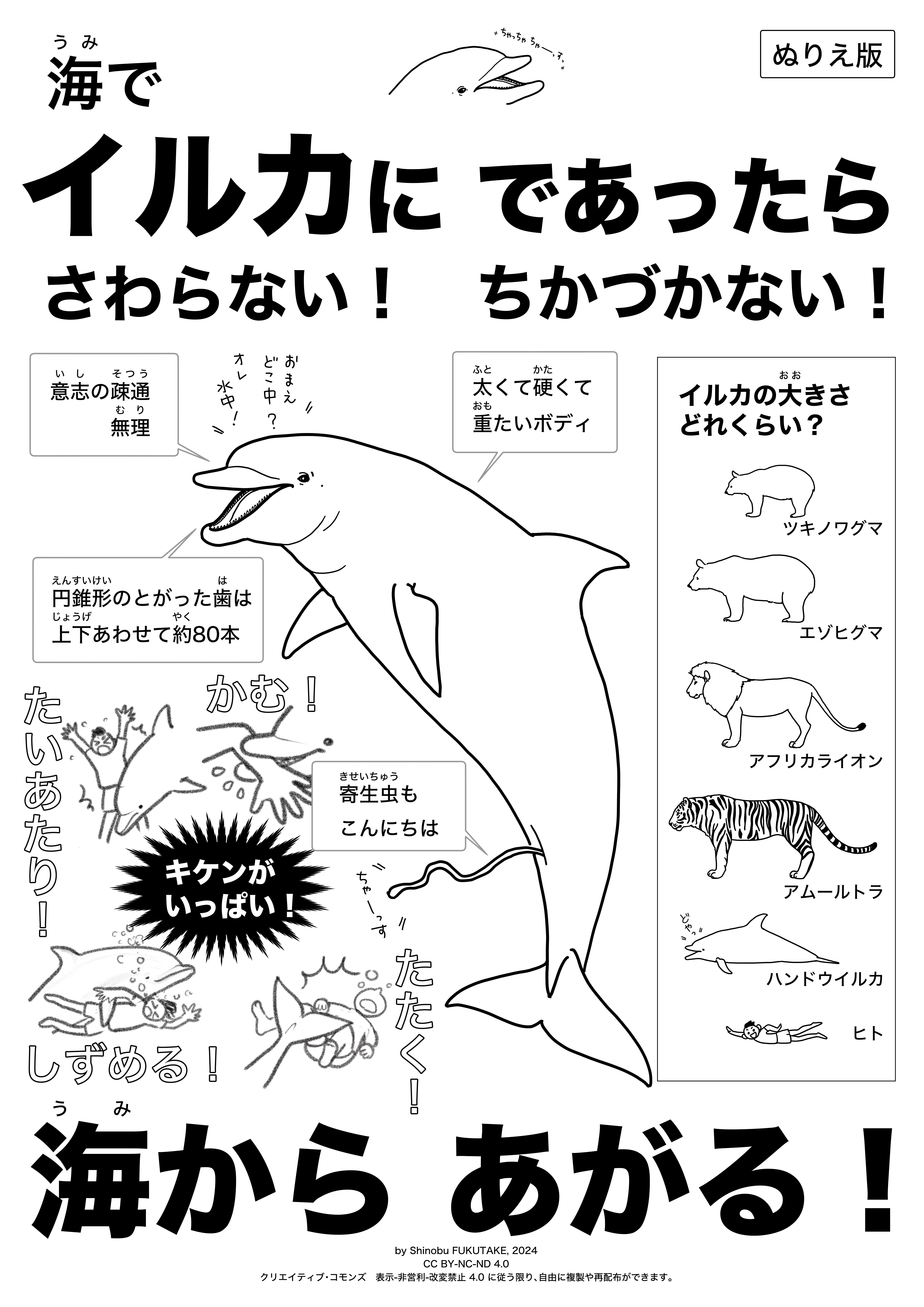 【イルカ】【道の向こう】…アクリル画 Amazon.co.jp: 幸せを呼ぶイルカ アクリル画 直筆 : 文房具