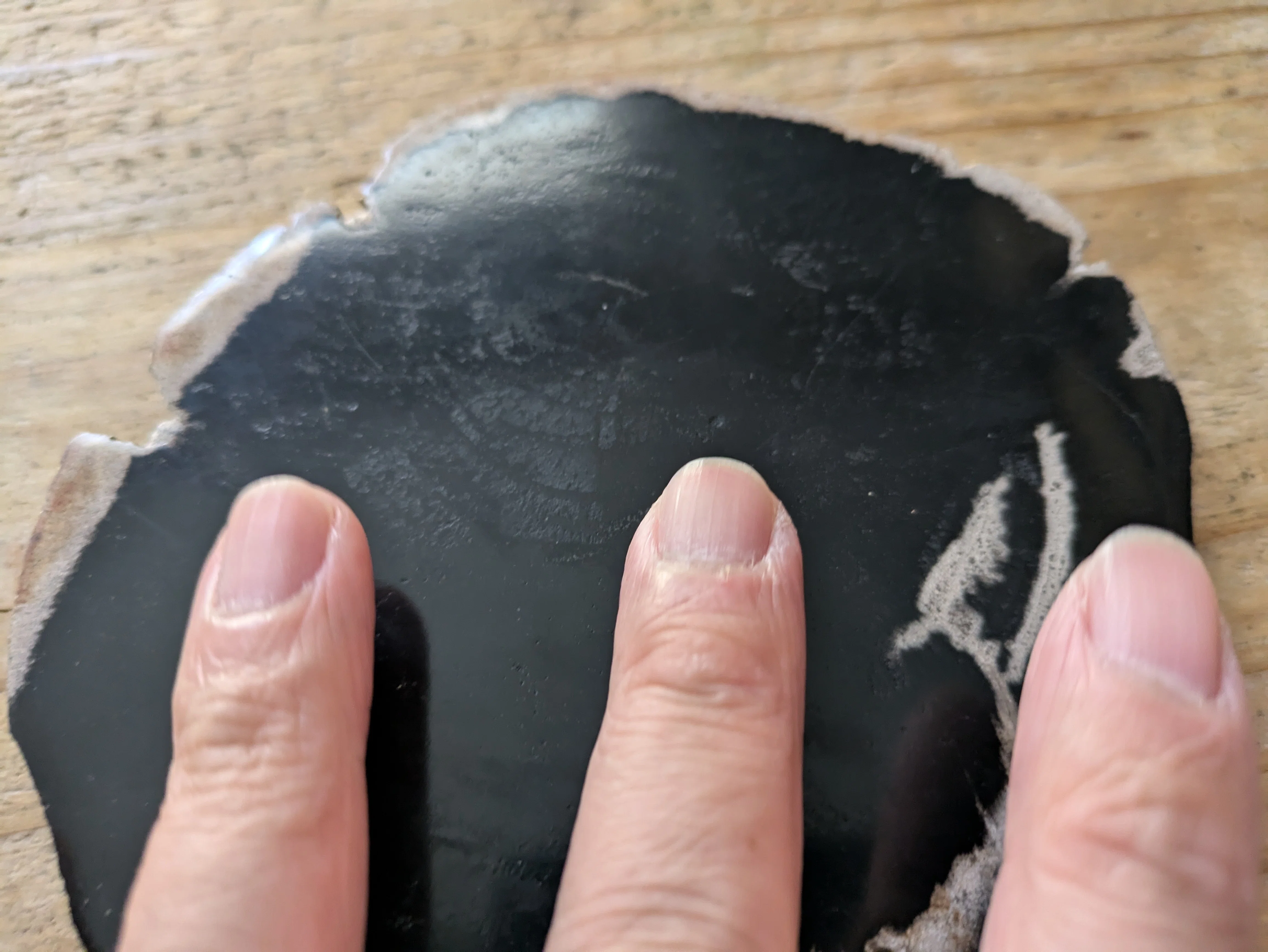 WOOD COASTER】 地中に埋もれた樹木が、膨大な年月をかけ地層から