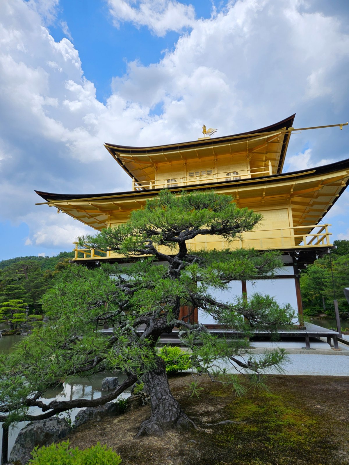 오사카를 가는 이야기｜땡닢 テンニプ