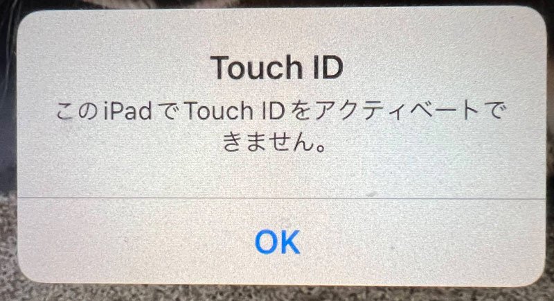 小6むすこのiPadのTouch IDが反応しなかったので対処しました 小6むすこのiPadのTouch IDが反応しなかったので対処しました