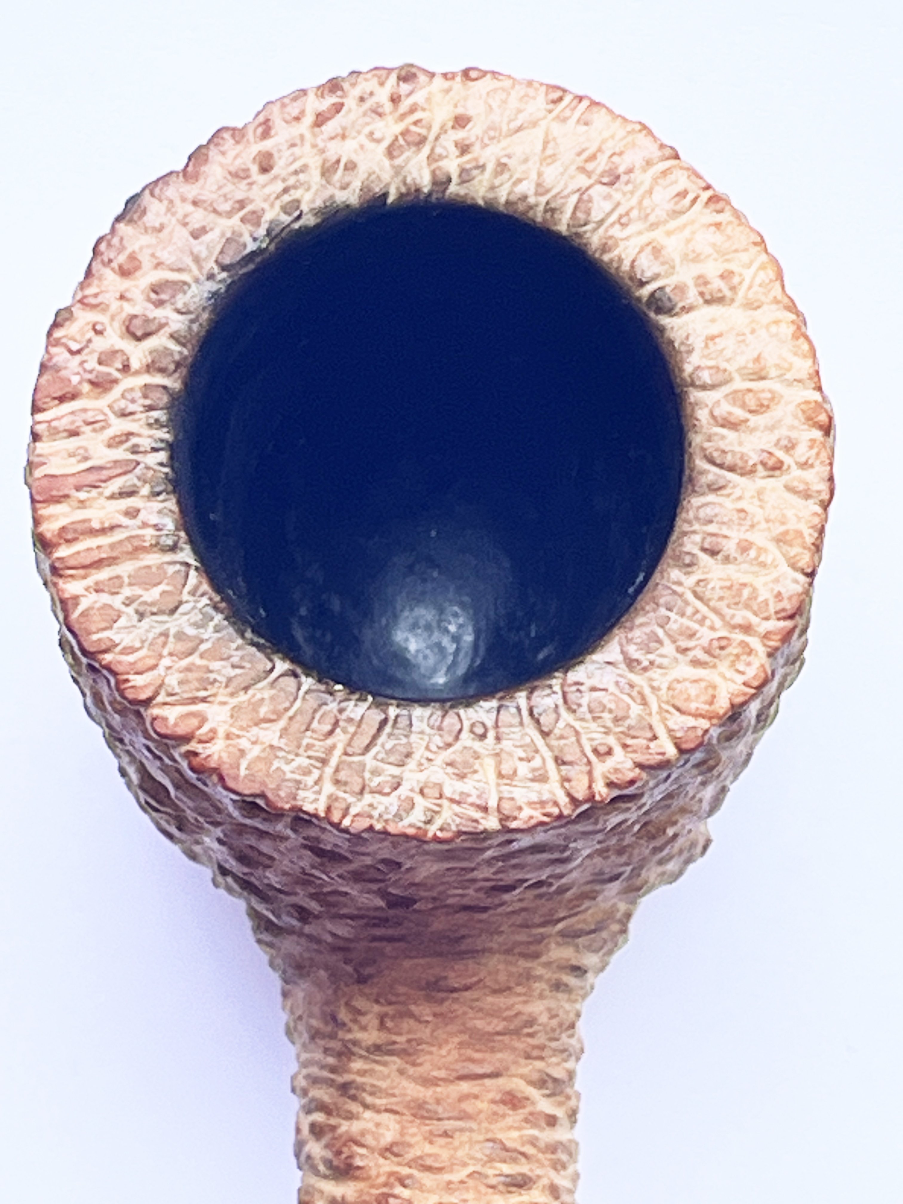 SAVINELLI / PUNTO ORO / SeaCoral / 121KS｜Bull