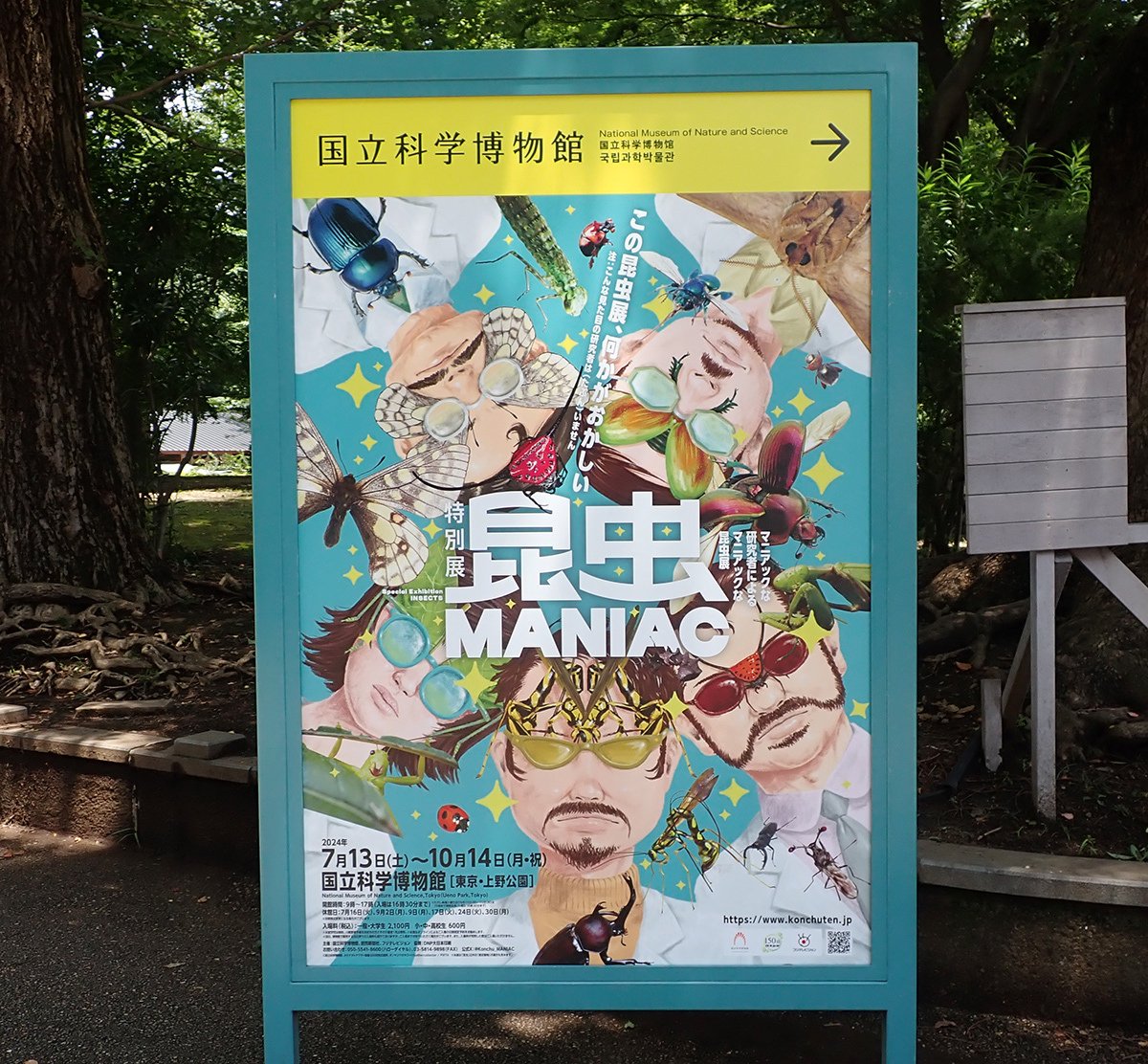 高評価アイテム 野外博物」 京都博物同好会会誌 1巻1号-5巻1号 植物 動物 鉱物 生物学