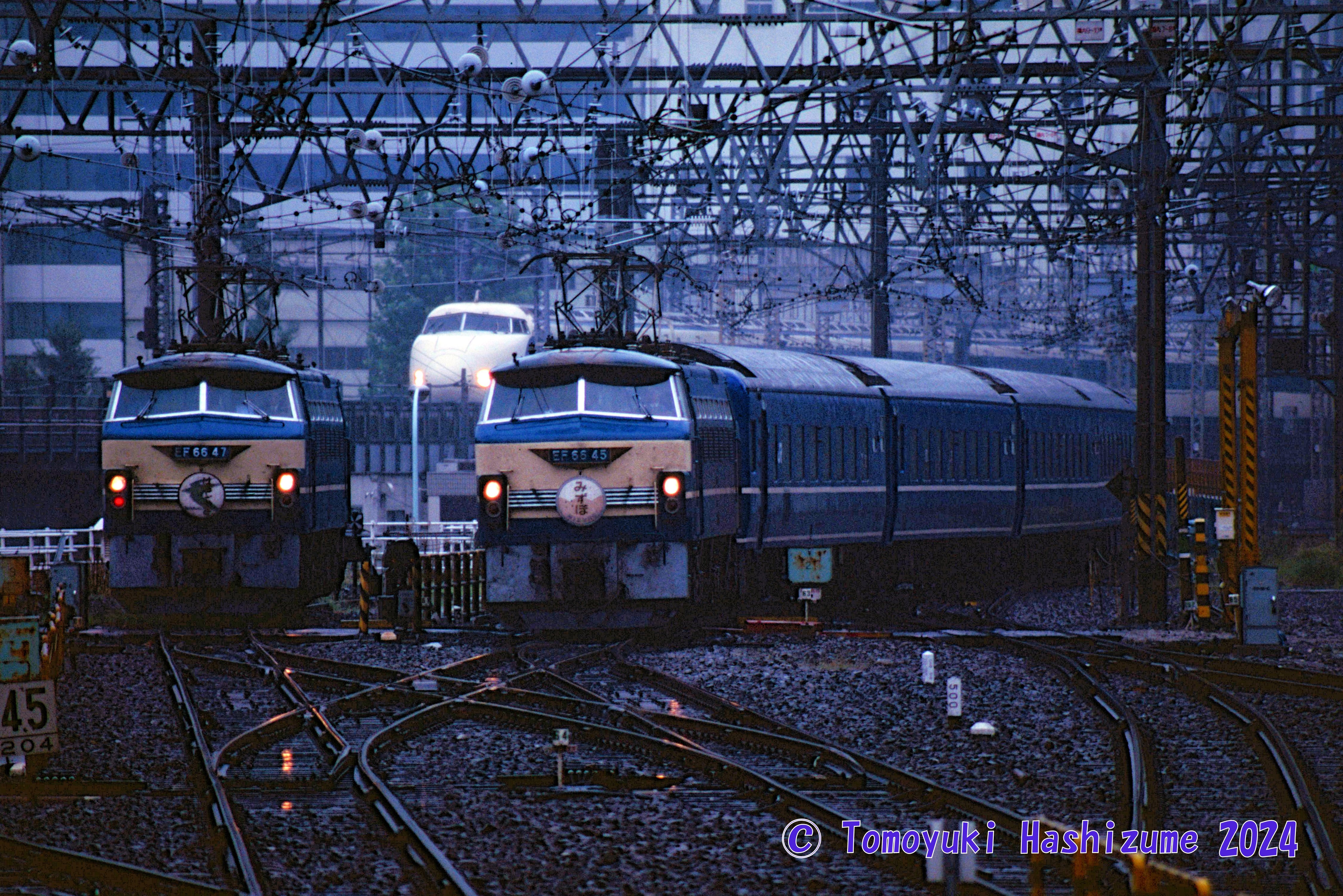 ブルートレインが華やかだった頃の写真をスキャンした｜橋爪智之